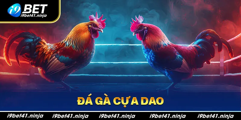 Đá Gà Cựa Dao - Loại Hình Giải Trí Ăn Khách Nhất I9bet