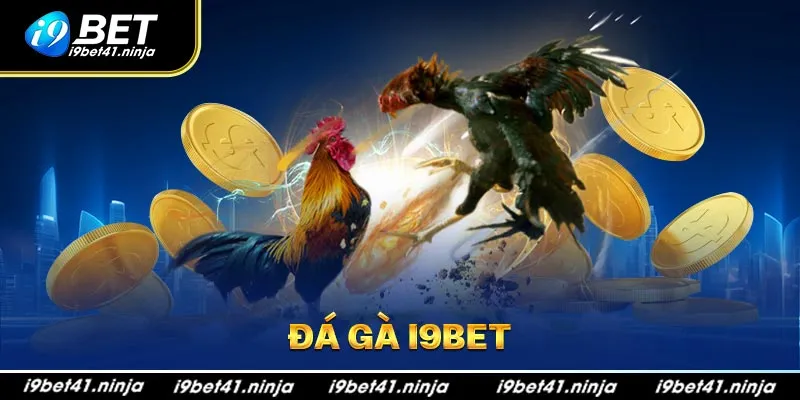 Sơ lược về đá gà I9bet